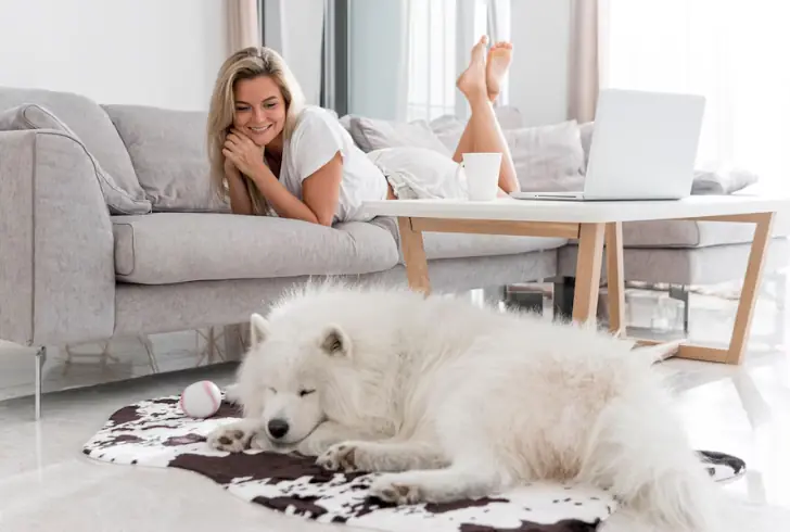 Happy dog adjusting to new home